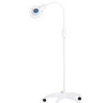 Examination Light