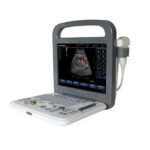 C3 Veterinary Ultrasound
